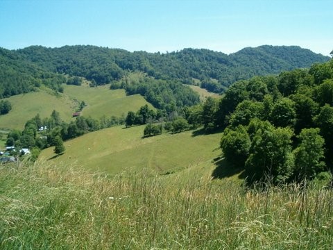 Mescaline Addiction Treatment FacilitiesChesapeake City County